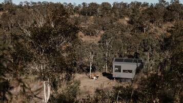 A remote cabin surrounded by dense forest, with a clear view of the surrounding natural landscape.