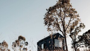Un edificio pequeño y oscuro, con un ventanal grande, rodeado de hierba seca y árboles.