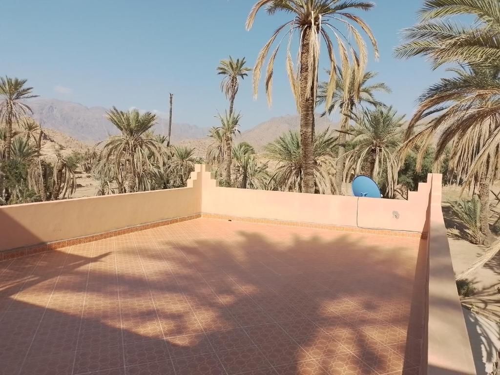 A rooftop terrace with palm trees and a view of mountains.