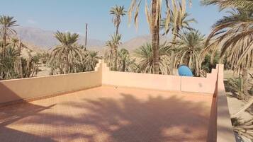 A rooftop terrace with palm trees and a view of mountains.