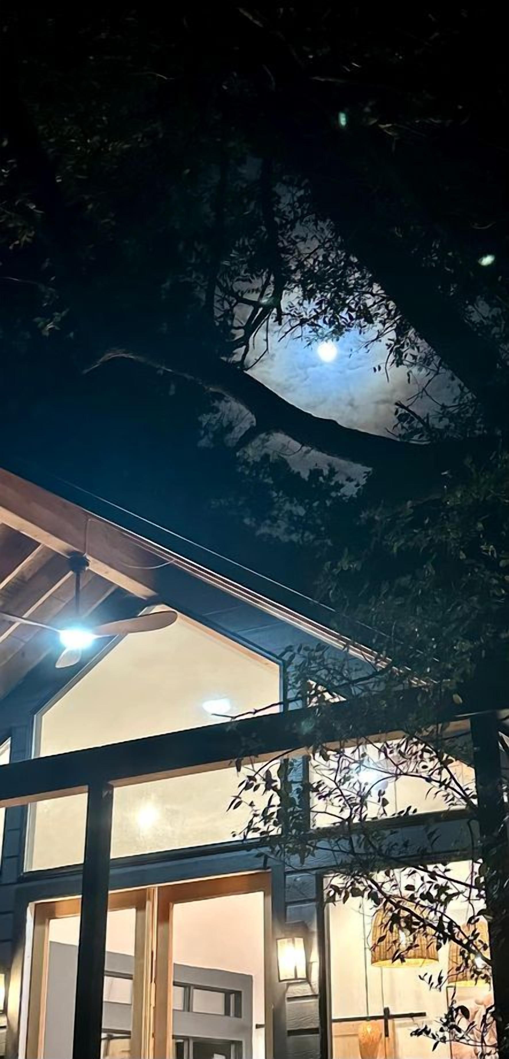 A modern house with a large glass window and a visible moon through the tree branches.