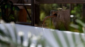 A bathtub with a faucet, surrounded by greenery.