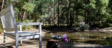 A bench, a rustic pot, and a pond in a wooded area.