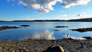 A calm lake with a rocky shoreline and a bird standing on the rocks. - Charming Dog-Friendly Beach House with Fire Pit & Jetted Tub Near Carters Beach in Hancock, Maine (Hancock)