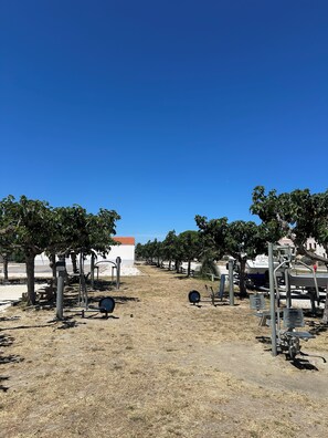 Parco della struttura