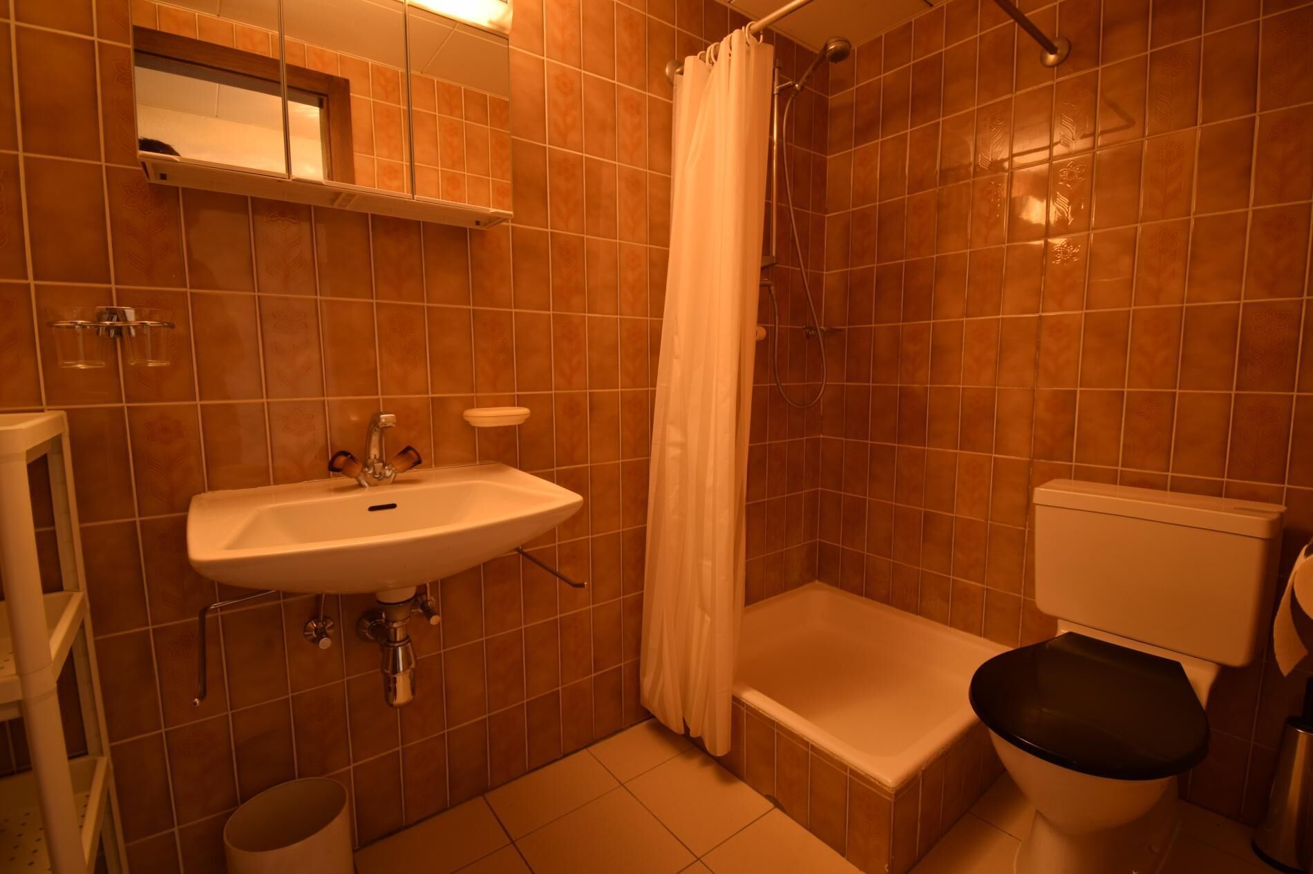 A bathroom with a sink, toilet, shower, and a mirror above the sink.