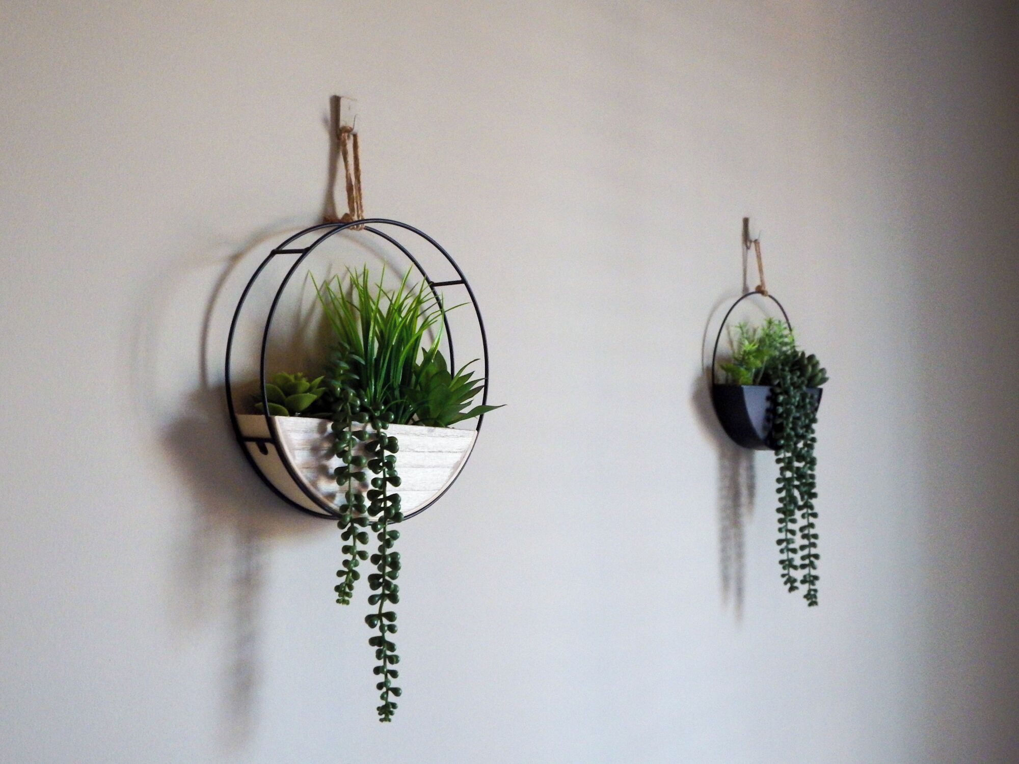 Dos macetas colgantes con plantas.