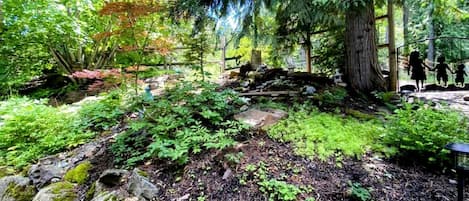 Metsäinen alue, jossa on kivestä tehty polku, suuri puu ja puinen rakennelma.