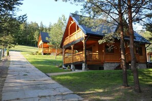 Ulkopuoli
