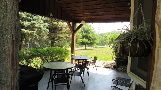 Un patio cubierto con una mesa y sillas, una planta colgante y vistas a un área verde con árboles.