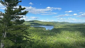 A natural landscape with a lake, forested hills, and a prominent pine tree. - White Mountains A-Frame | Off-Grid, Stars, Firepit (Stoneham)
