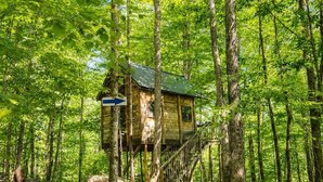 Una cabaña de madera elevada sobre pilares en un bosque, con un cartel que indica una dirección.