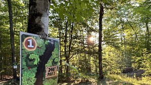 Señalización de un sendero con mapa y letreros de distancia en una zona boscosa.