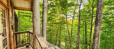 A wooden deck with a view of a forest.