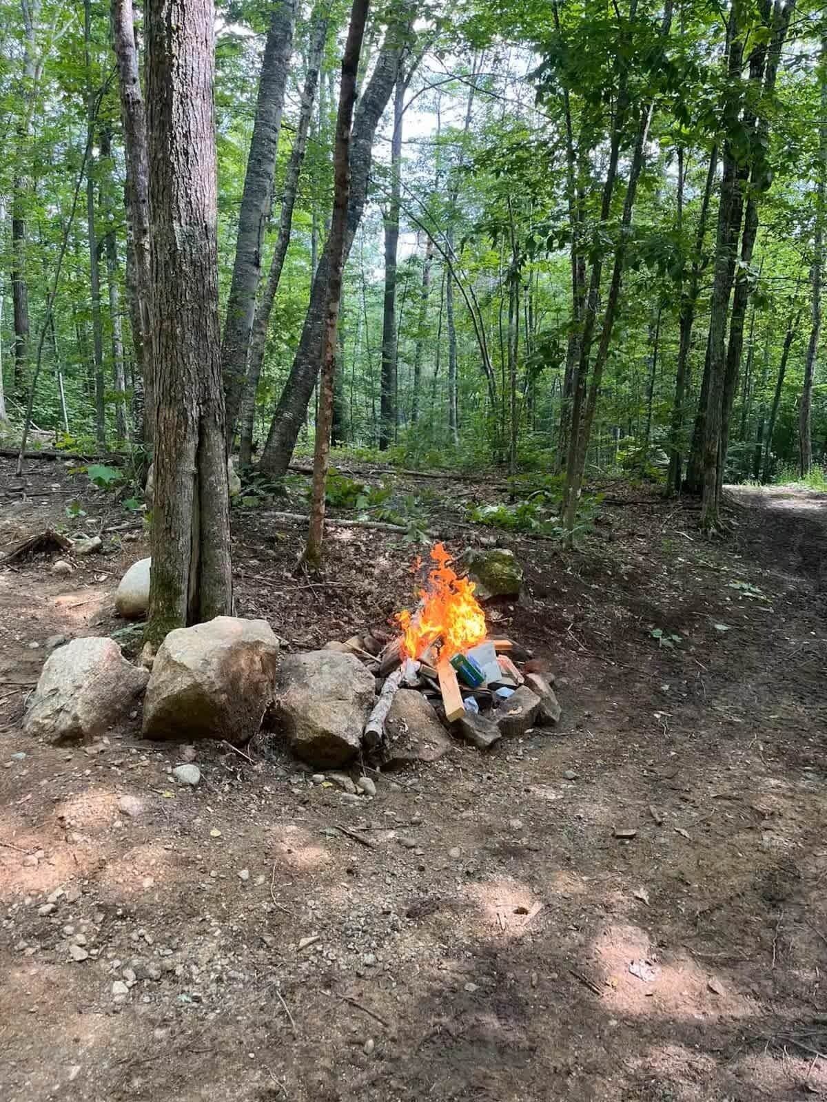Un feu de camp dans une forêt, avec des arbres et des rochers.