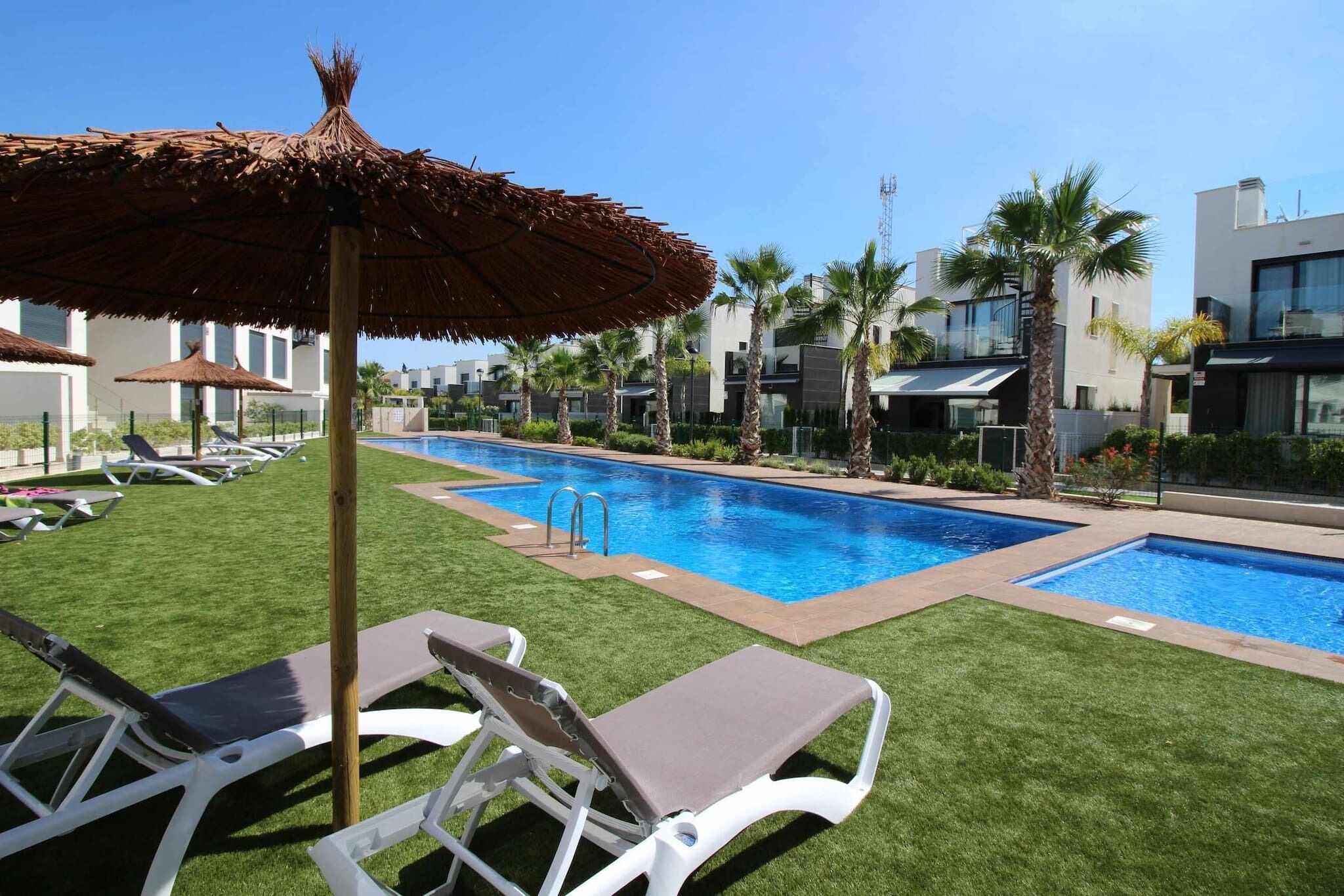 A swimming pool area with lounge chairs and umbrellas, surrounded by palm trees and modern buildings.
