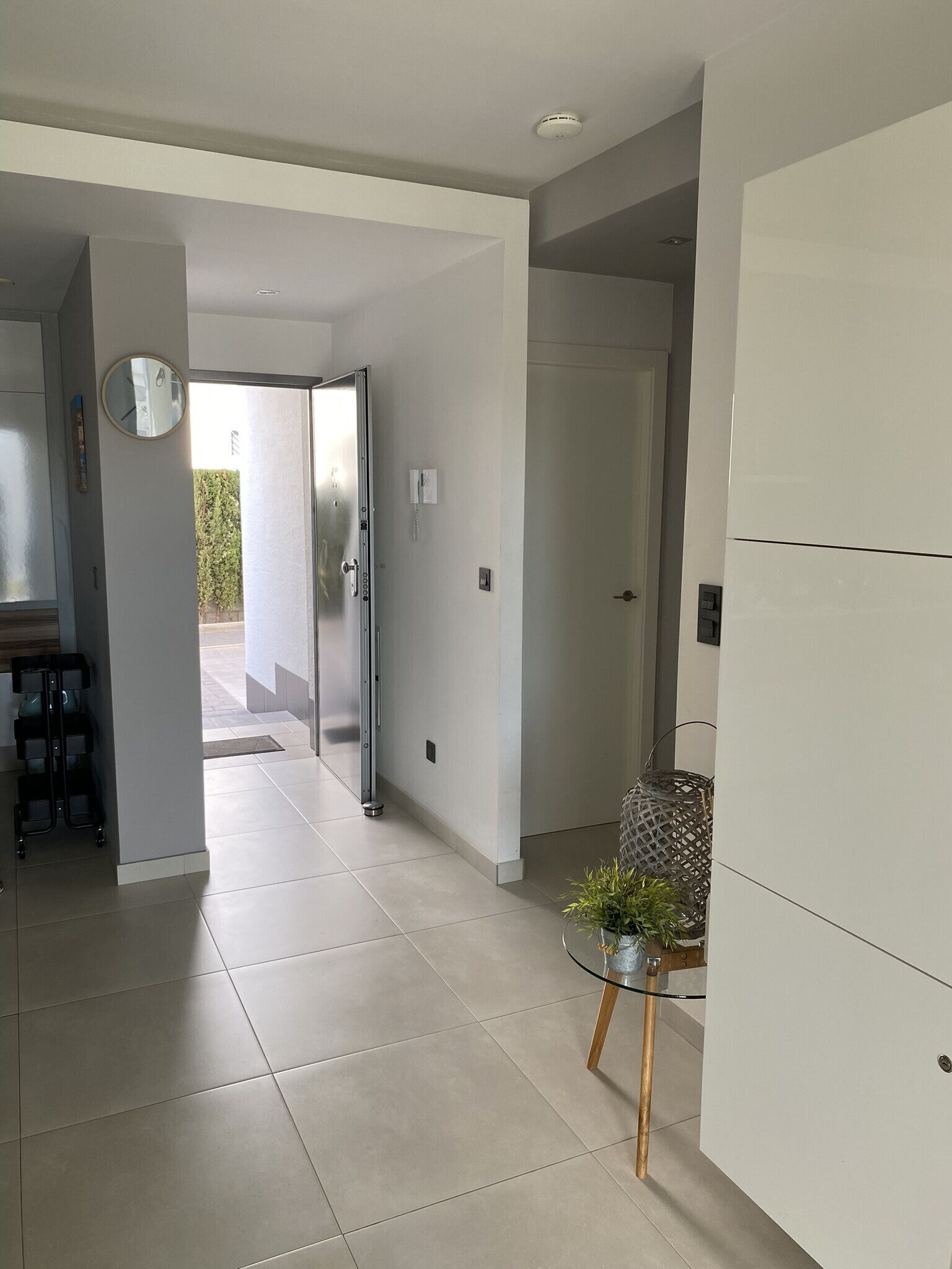 A modern interior with a hallway leading to an open area, a small table with a plant, and a door with a handle.