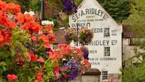 Un edificio con señalización que indica 'S. A. Ridley Ltd.' y 'Seedmen of Britain'.