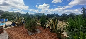 Un jardín con plantas diversas, una piscina y cielo despejado.