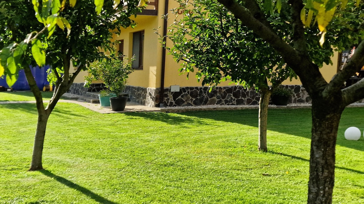 Image de profil de l’hôte