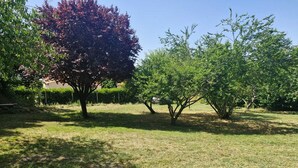 A grassy outdoor area with trees and a fence. - 220 m² Charente-style farmhouse with a garden and terrace (Berneuil)