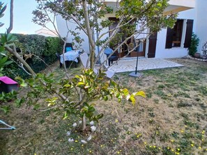 Terassi/patio