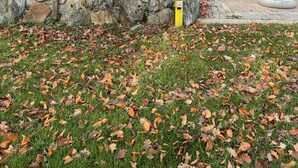 Un edificio in mattoni con un muro in pietra, un ingresso coperto e un'area pavimentata ricoperta di foglie.