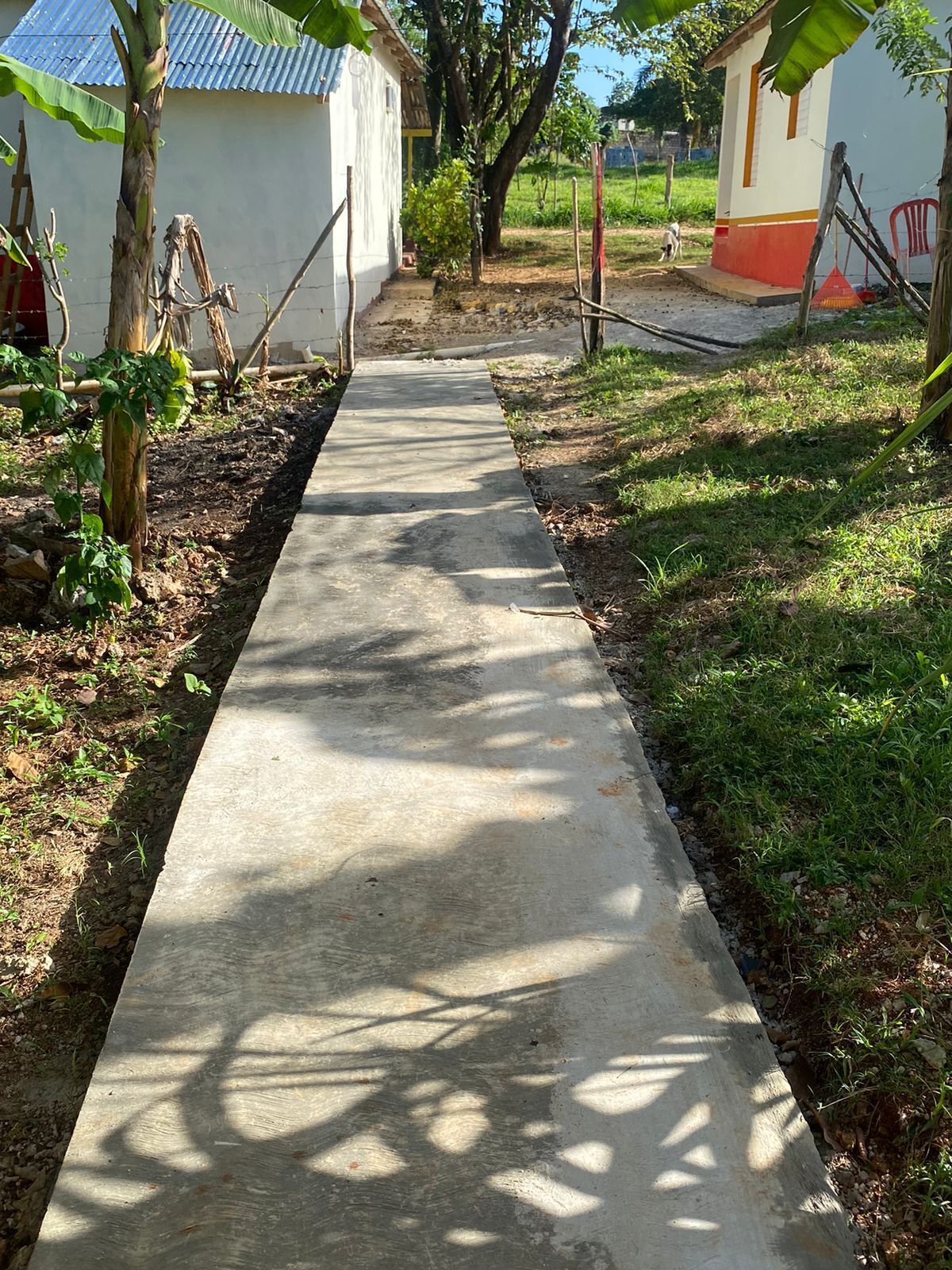 Un chemin en béton mène à un bâtiment dont le toit est fait de tôles ondulées.