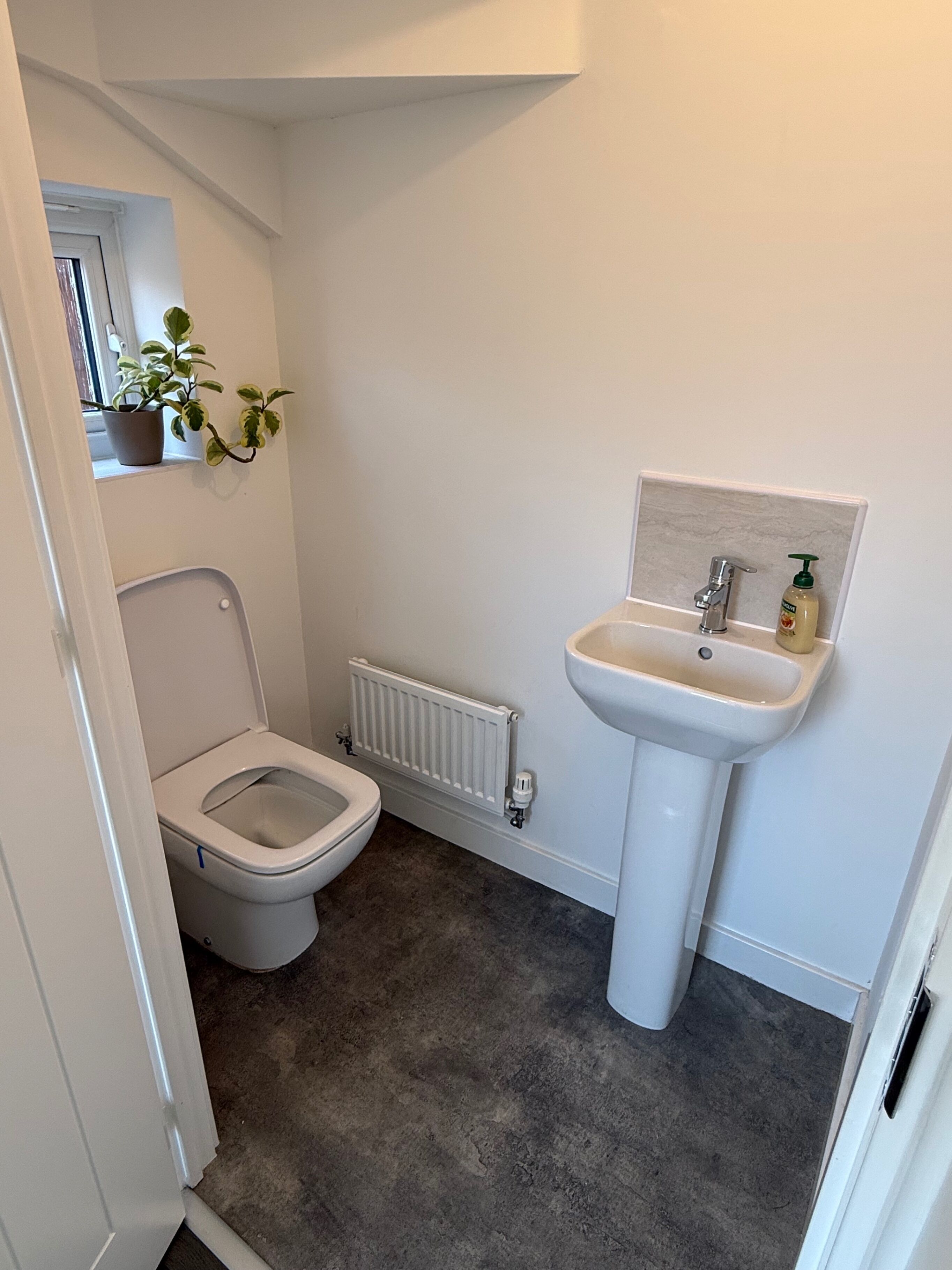Un baño con inodoro, radiador, lavabo y una planta en maceta.