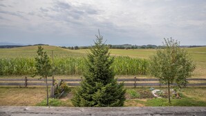 Un paysage rural avec des champs, des arbres et un ciel nuageux.