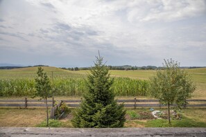 Ländliche Landschaft mit Feldern, Bäumen und bewölktem Himmel.