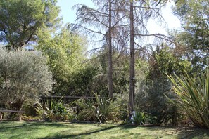 A garden with various plants, a wooden bench, and a tall tree. - Idylle apartment – Sleeps 2, with a large terrace and a view (Pertuis)