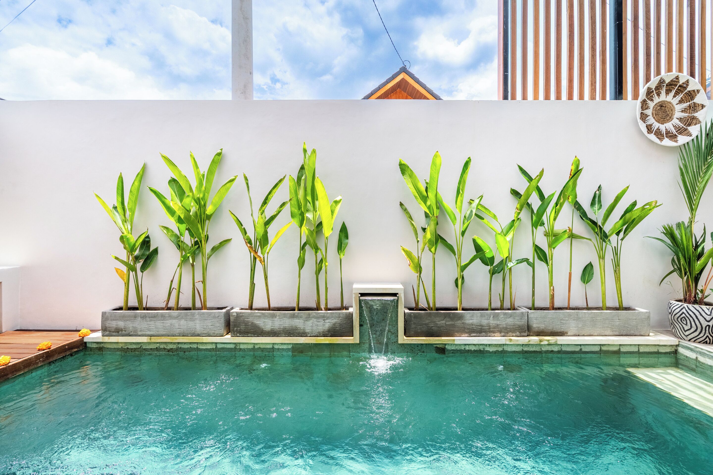 Una piscina con una cascada y una fila de plantas de plátano al borde.