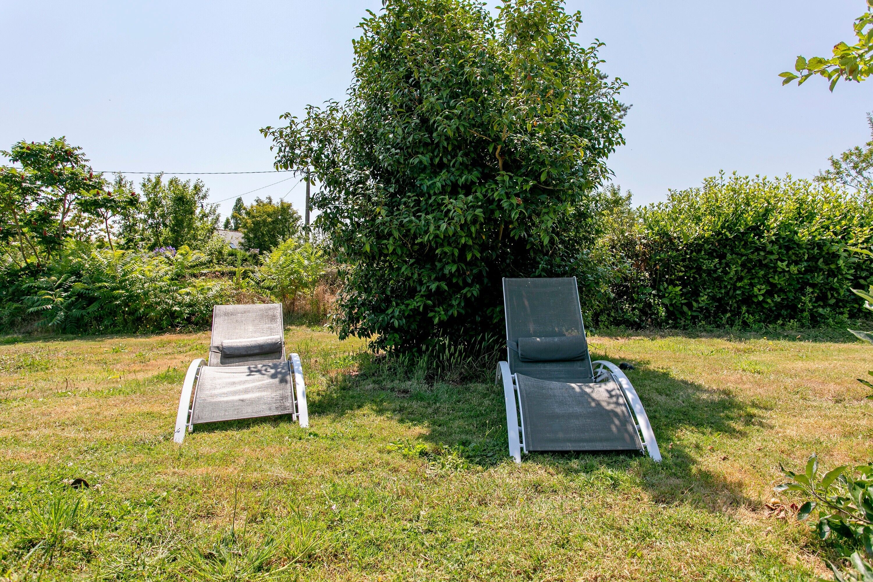 Deux fauteuils de jardin, placés à l’extérieur, avec une pelouse et un feuillage dense en arrière-plan.