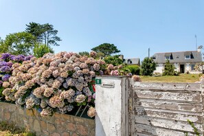 En stenvæg med hortensia, en falmet port og en boligbygning i baggrunden.