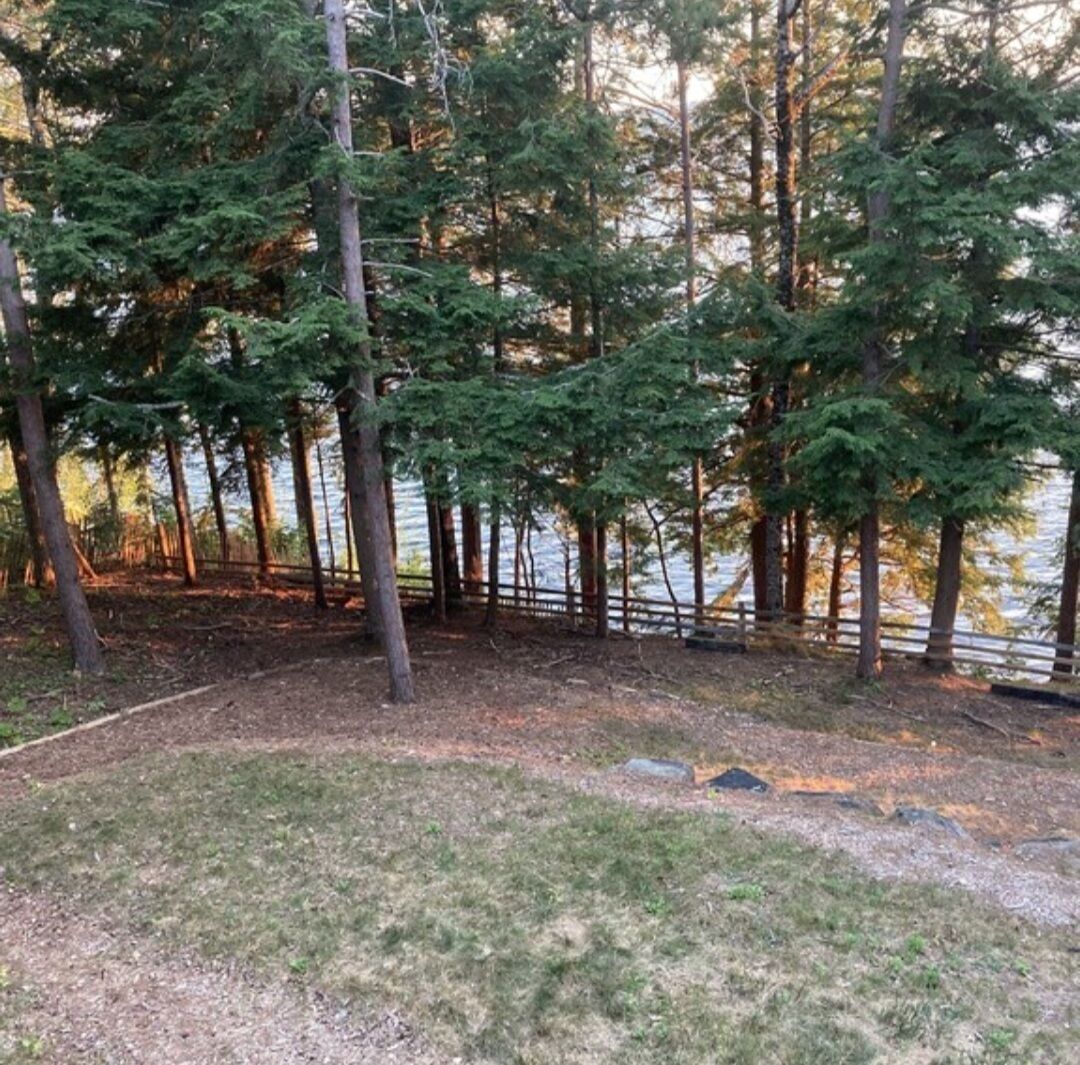 A forested area with a wooden fence and a body of water in the background.