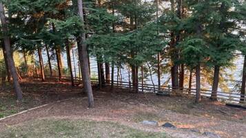 A forested area with a wooden fence and a body of water in the background.