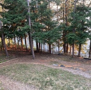 A forested area with a wooden fence and a body of water in the background.