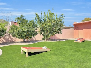 A backyard with a lawn, a wooden bench, and a tree. - Captain Dreyfus Phoenix (Phoenix)