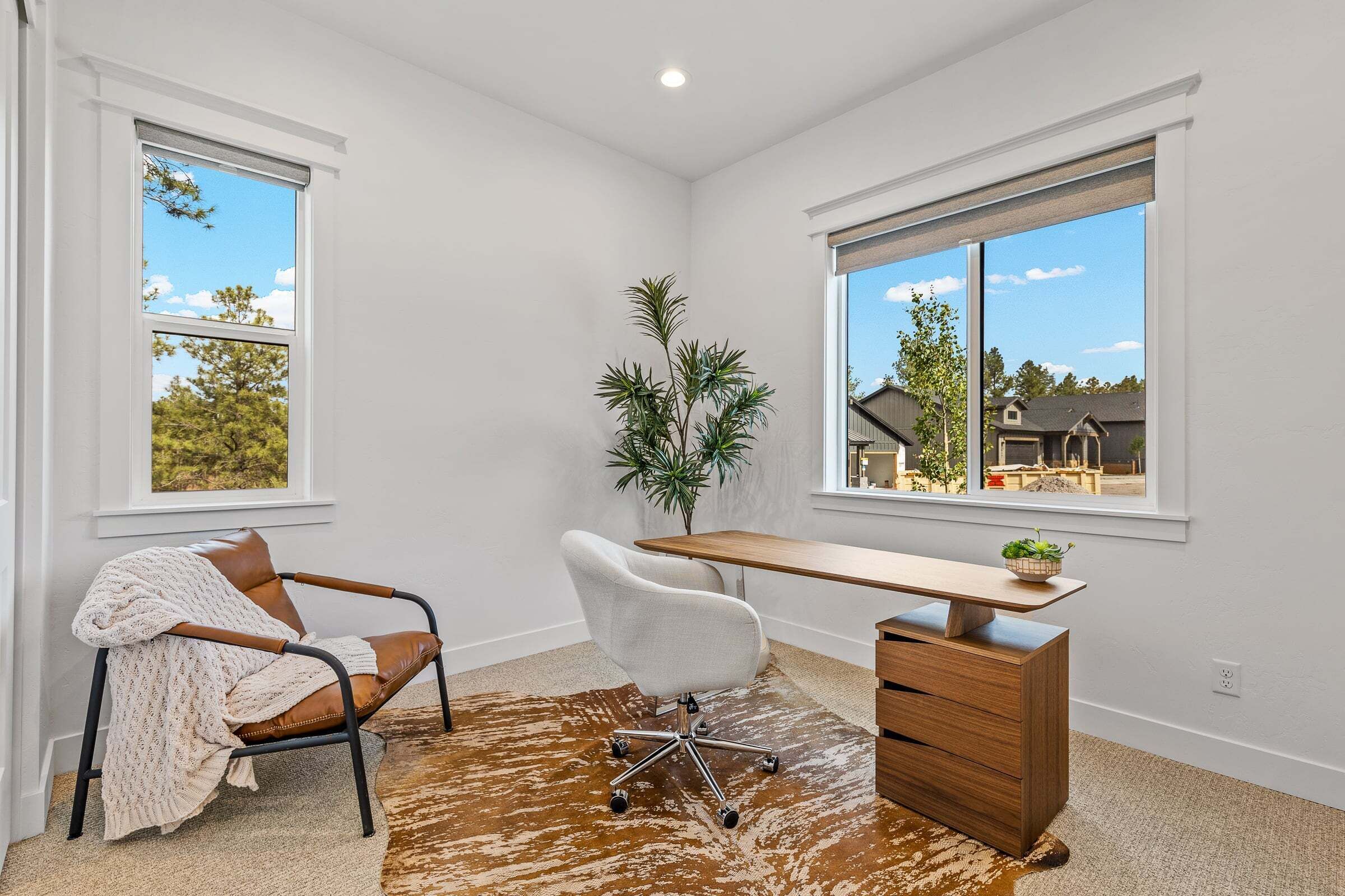 Una habitación con escritorio, dos sillas, una planta en maceta y ventanas grandes.