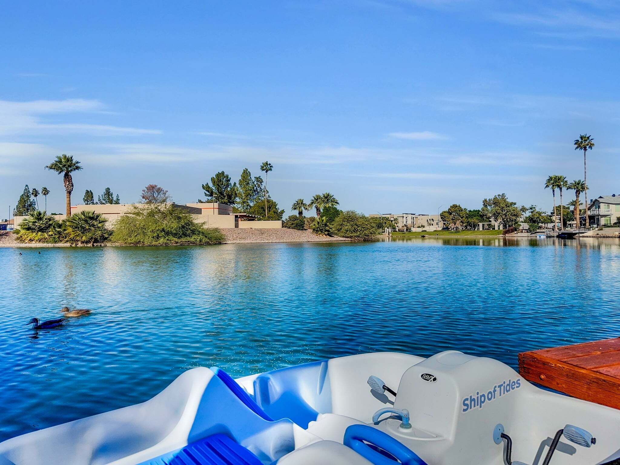 A boat with 'Ship of Tides' branding, a calm water body, and a residential area with palm trees and houses in the background.
