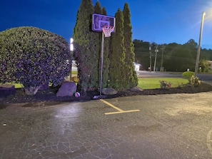 Property grounds - RED ROSE INN MOTEL (Bremen)