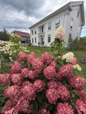 Un edificio blanco y espacioso con fachada simétrica, un césped cuidado y grupos de flores de hortensia rosadas y blancas al frente.