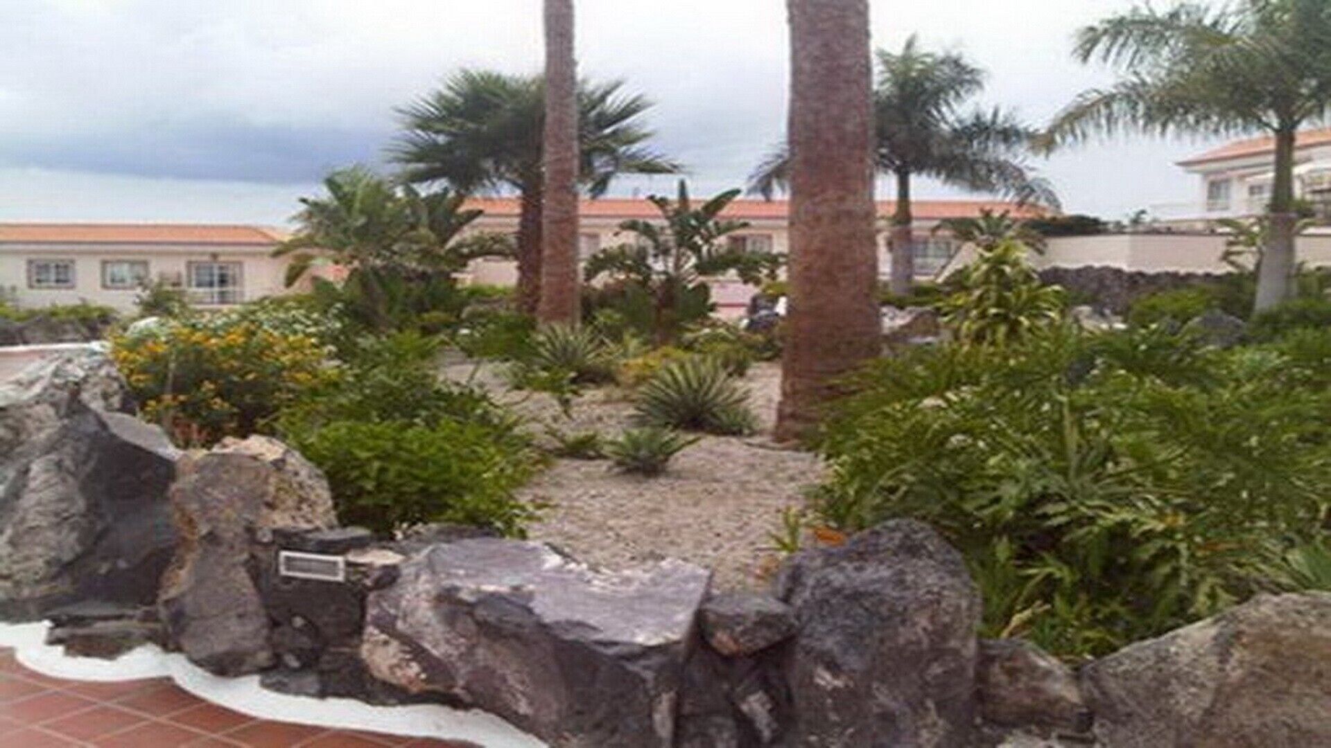 Un jardin aménagé avec des palmiers, des rochers et divers arbustes.