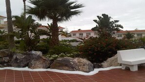 Zona de pati amb una banca blanca, palmeres i un jardí rocós.