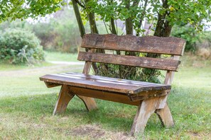 A wooden bench in a grassy area with trees in the background.