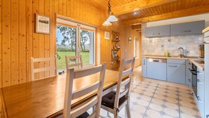 Coffee/tea maker, fridge, microwave, oven - Holiday Home 'Rotes Haus' with Private Terrace, Garden and Wi-Fi (Ummanz)