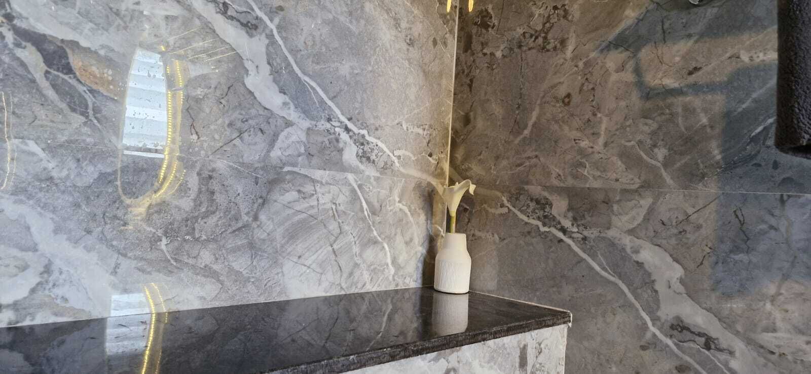 A marble wall with a reflective surface and a vase with a plant.
