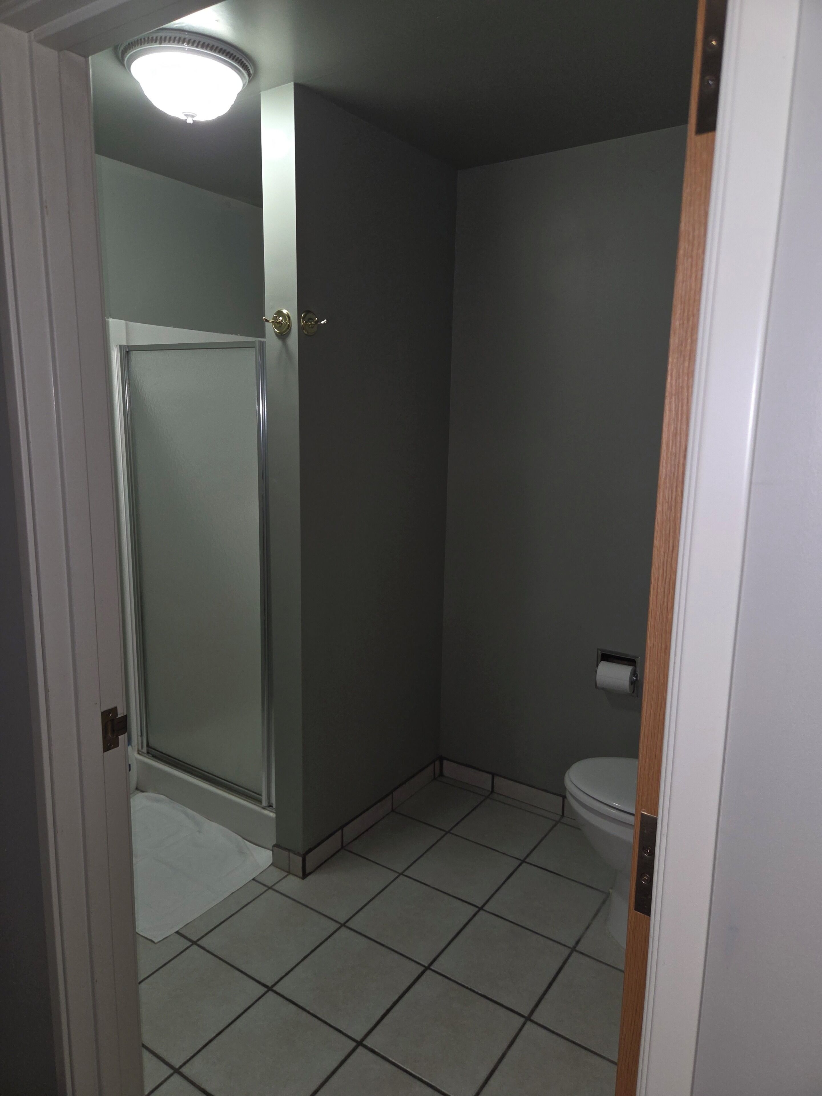 Regadera, toallas, jabón, papel de baño 