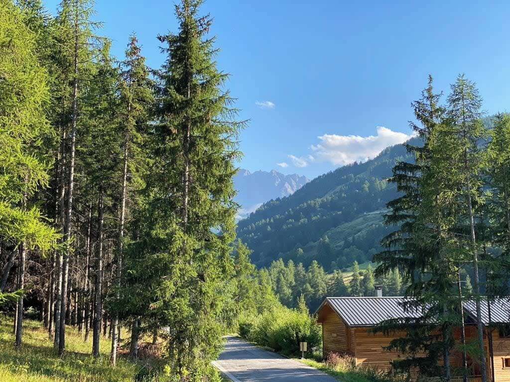 A cabin surrounded by tall pine trees, a clear sky, and a mountain in the background.